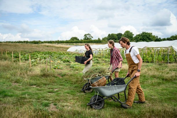 High-Paying Farm Worker Jobs in the UK: Visa Options, Salaries, and Application (2026) High-Paying Farm Worker Jobs in the UK: Visa Options, Salaries, and Application (2026)